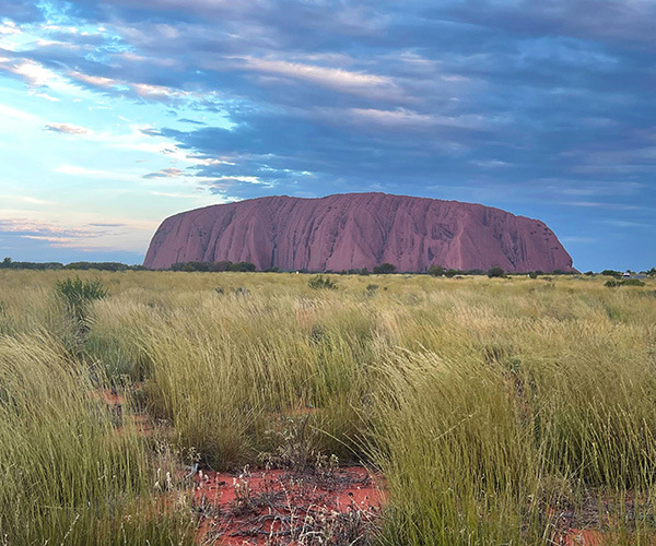 View of Uluru Australia in the grasslands under vibrant cloudy sky
