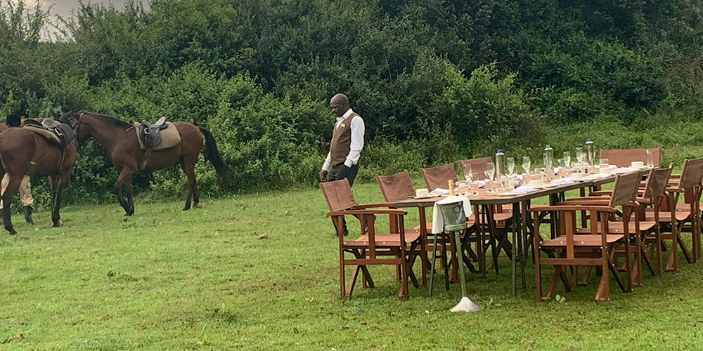 Man and horses near banquet table - African safari