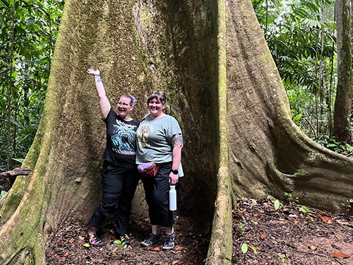 women standing at the base of a very large tree in the rainforest