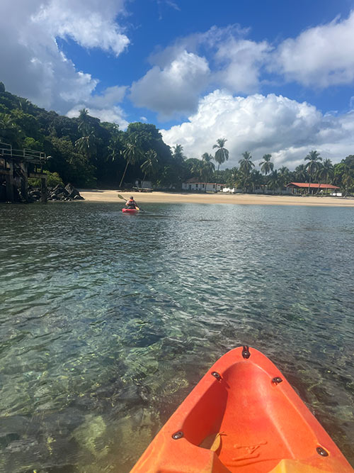 view with a tropical beach taken from a kayak
