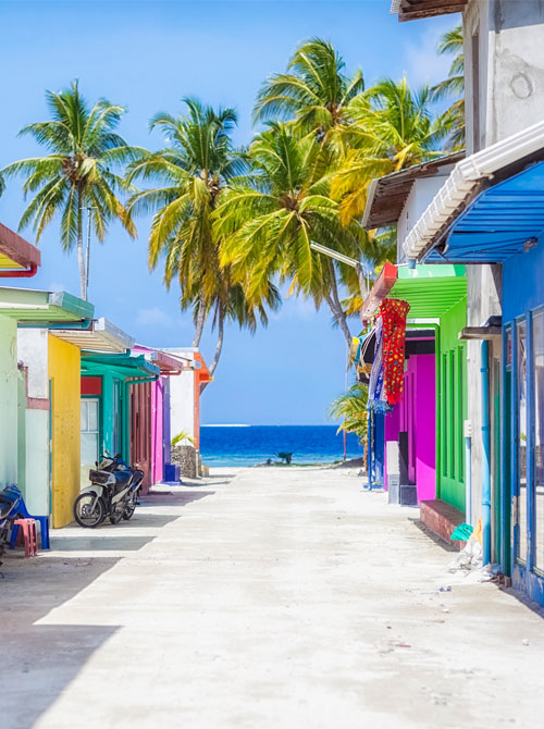 Brightly colored buildings with palm trees with ocean in background - booking your trip