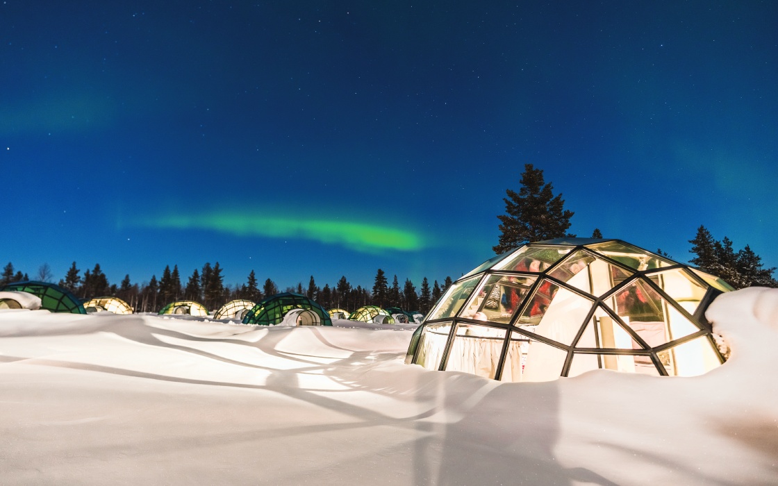 Glass igloos in a snowy landscape under the Northern Lights with a clear starry sky, surrounded by tall trees at night.