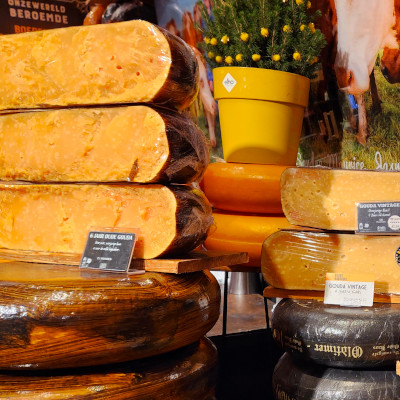 Cheese at Christmas market on Tauck excursion at Christmas river cruise of the Rhine