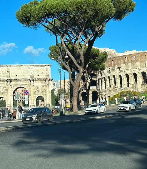 Colosseum and Arch of Constantine with tree in foreground in Rome, Italy