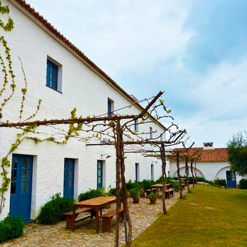São Lourenço do Barrocal hotel, a sprawling wine estate and olive grove near Monsaraz, Portugal