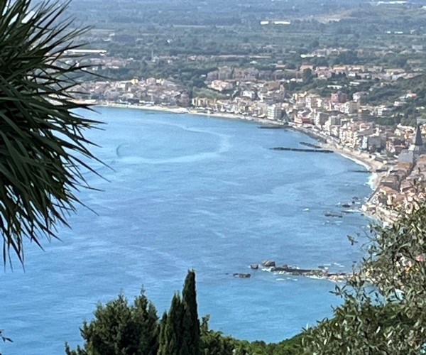 View with palm tree overlooking bay Strait of Messina