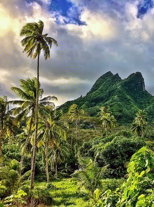 Lush tropical landscape with numerous tall palm trees framing a dramatic, jagged green mountain peak under a partly cloudy sky.