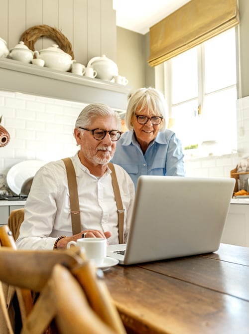 Older couple researching on their computer in sunny home