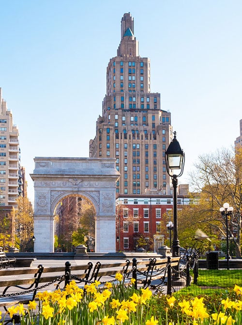 An image showing the Washington Square Arch in New York City's Washington Square Park. In the foreground, bright yellow daffodils are in full bloom next to park benches. Behind the arch, the tiered, Art Deco-style One Fifth Avenue apartment building rises into a clear blue sky.