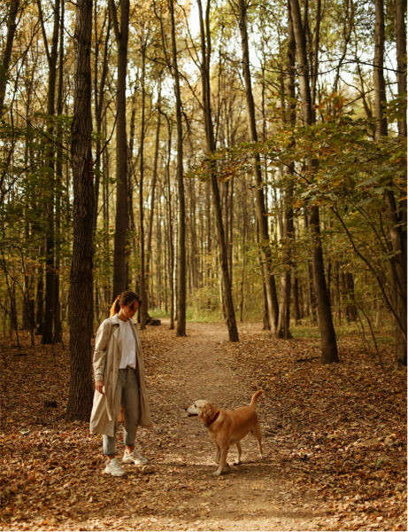 Girl and dog in forest