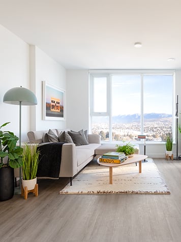 A bright, spacious furnished apartment