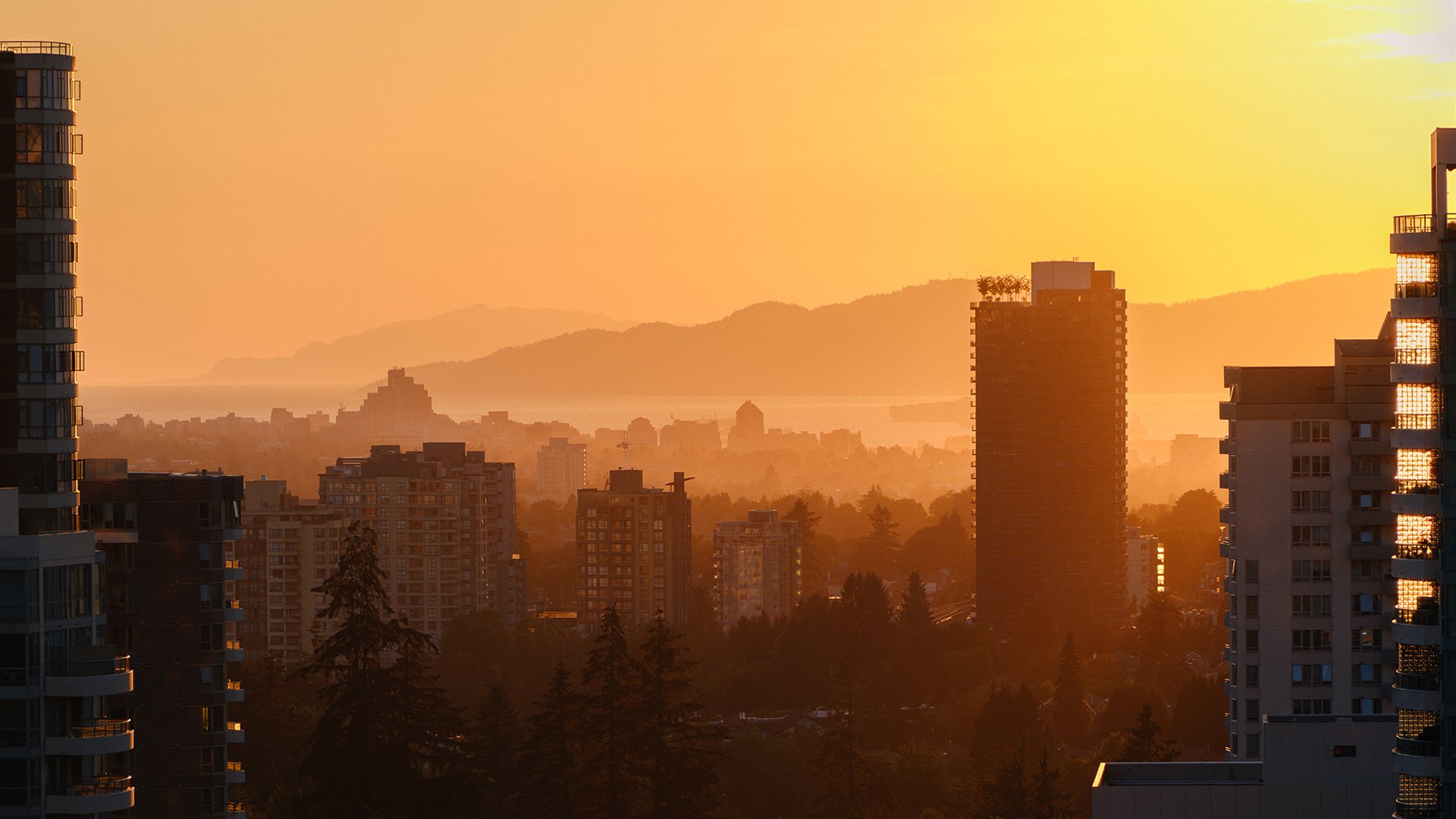 Buildings at sunset