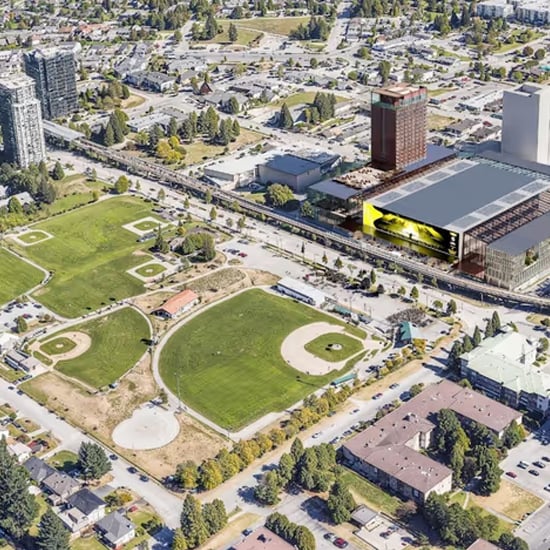 Birds eye view of a park with a field