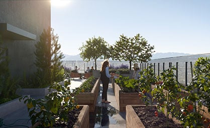 A sunny rooftop garden