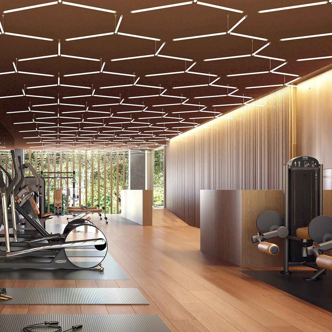 Gym with high end wood finishing