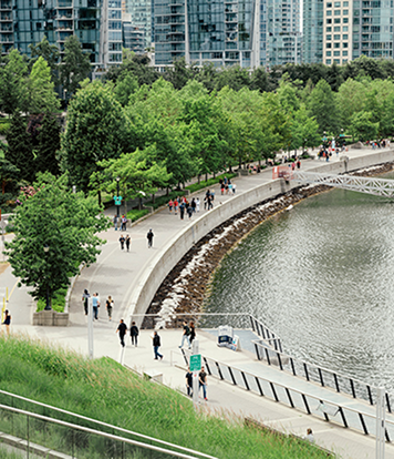 Greenery around Coal Harbour's seawall