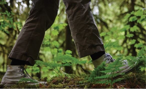 Sneakers in the forest