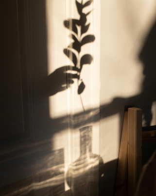 Plant shadow