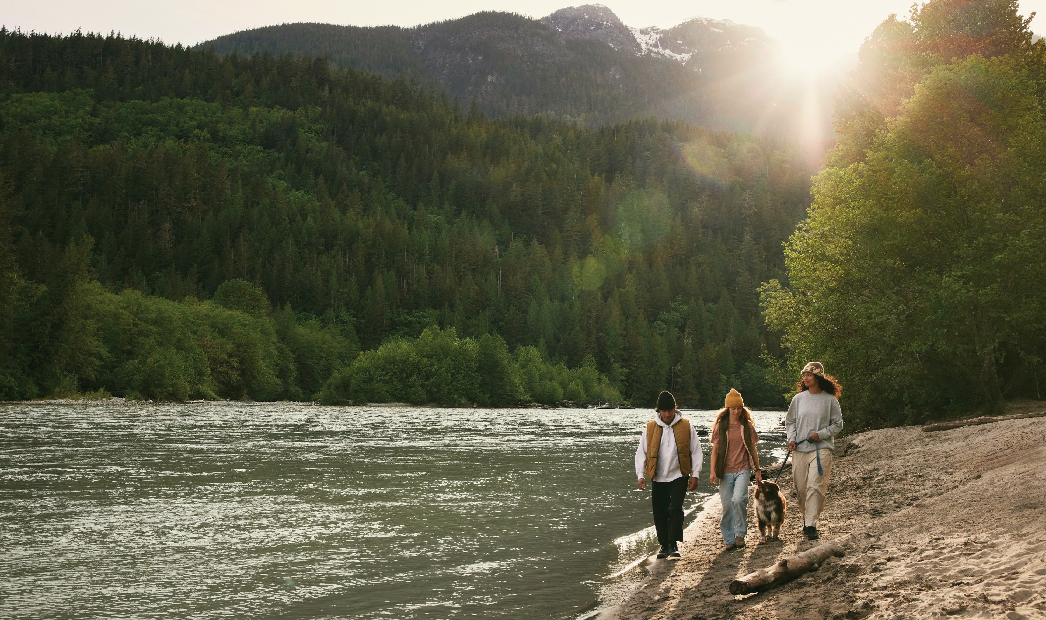 Friends walking on a beach with a dog
