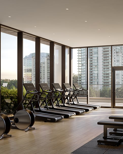 Ellipticals in the gym at Solhouse6035