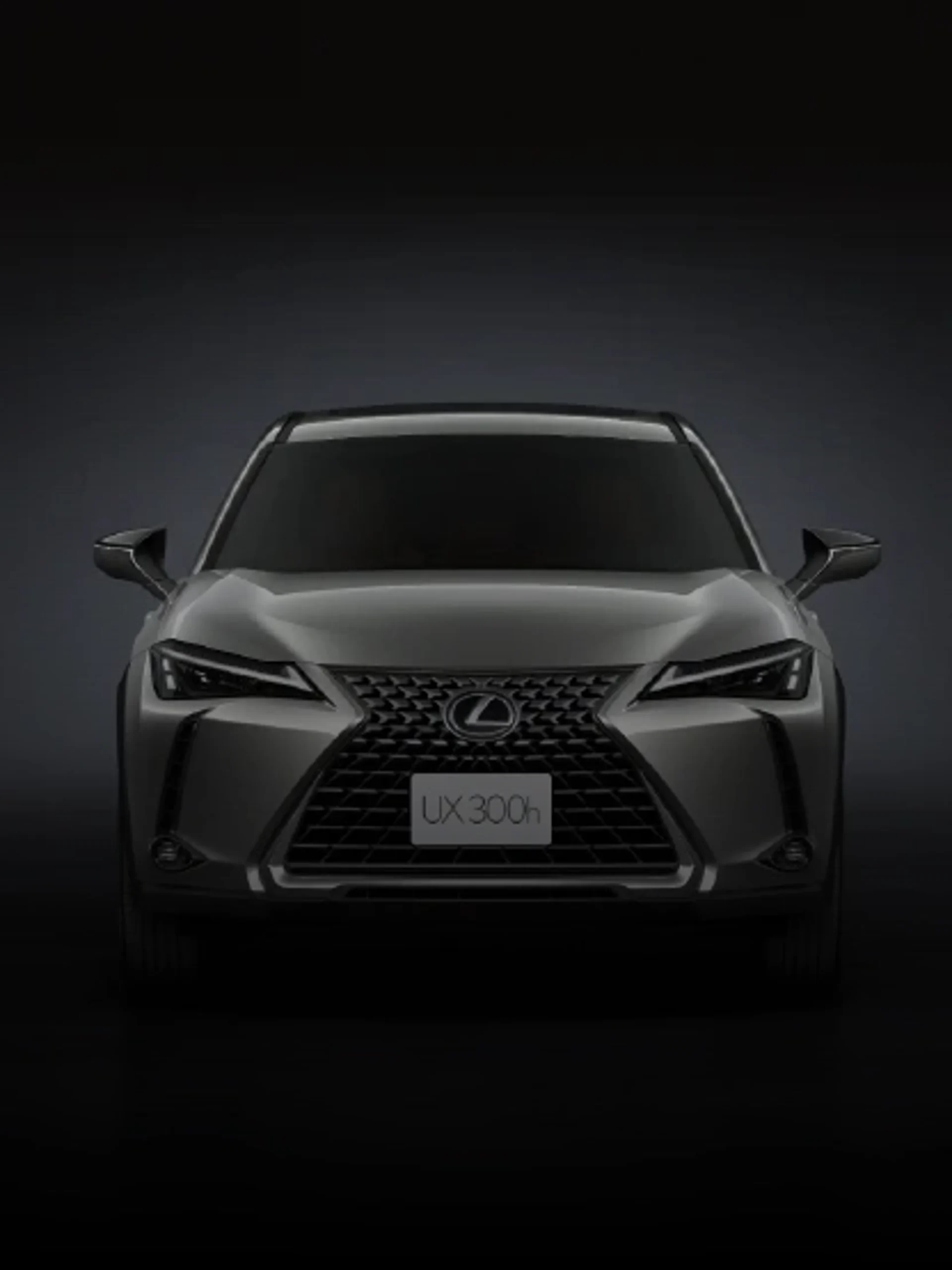 Lexus UX 2025