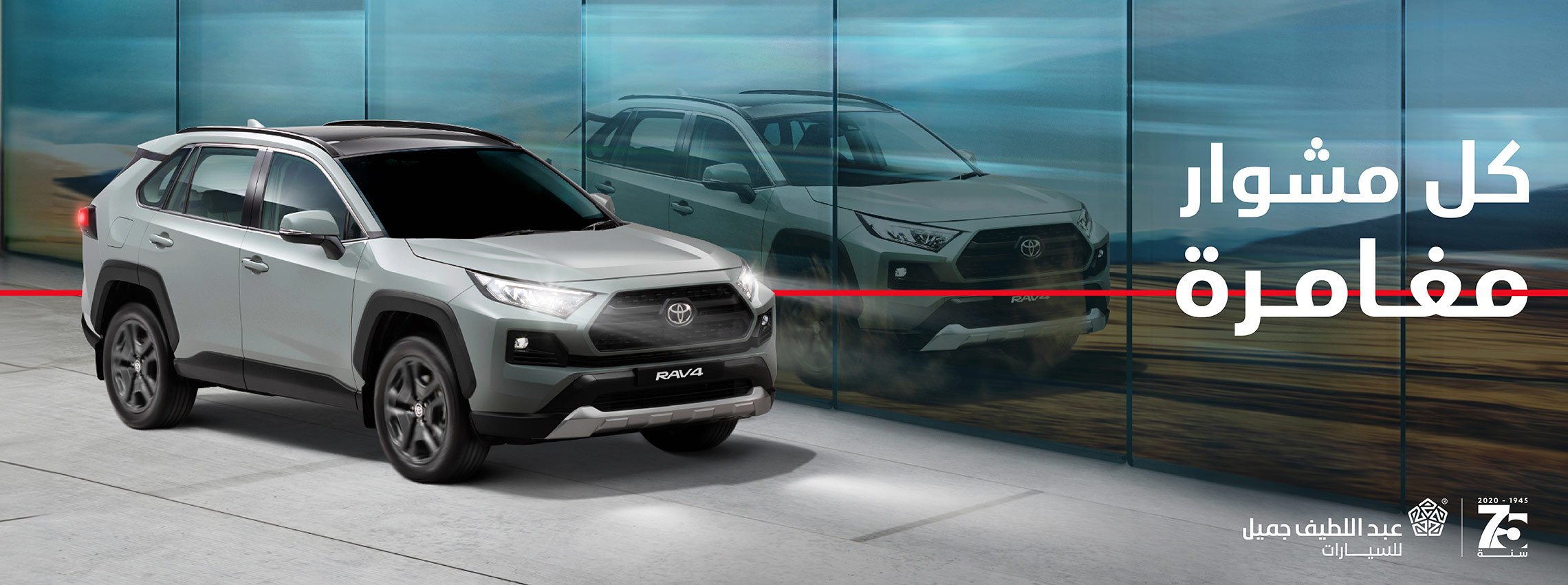 RAV4Campaign