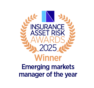Insurance-ERM-2024-award