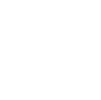 Brain