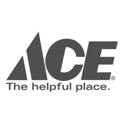 ACE logo