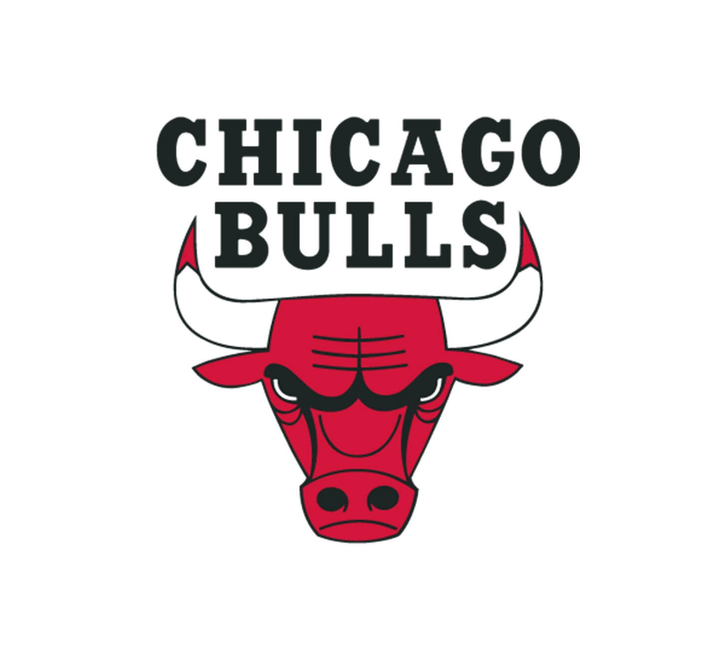 Chicago Bulls Logo