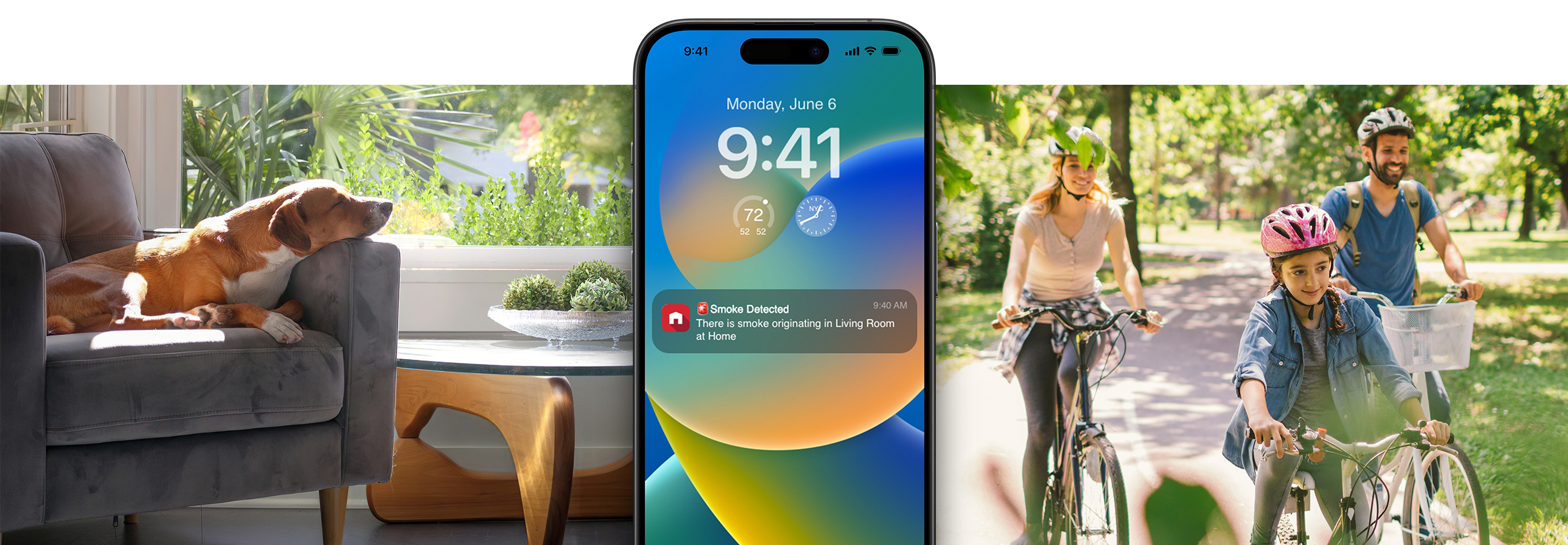 dog on couch, phone and family biking 