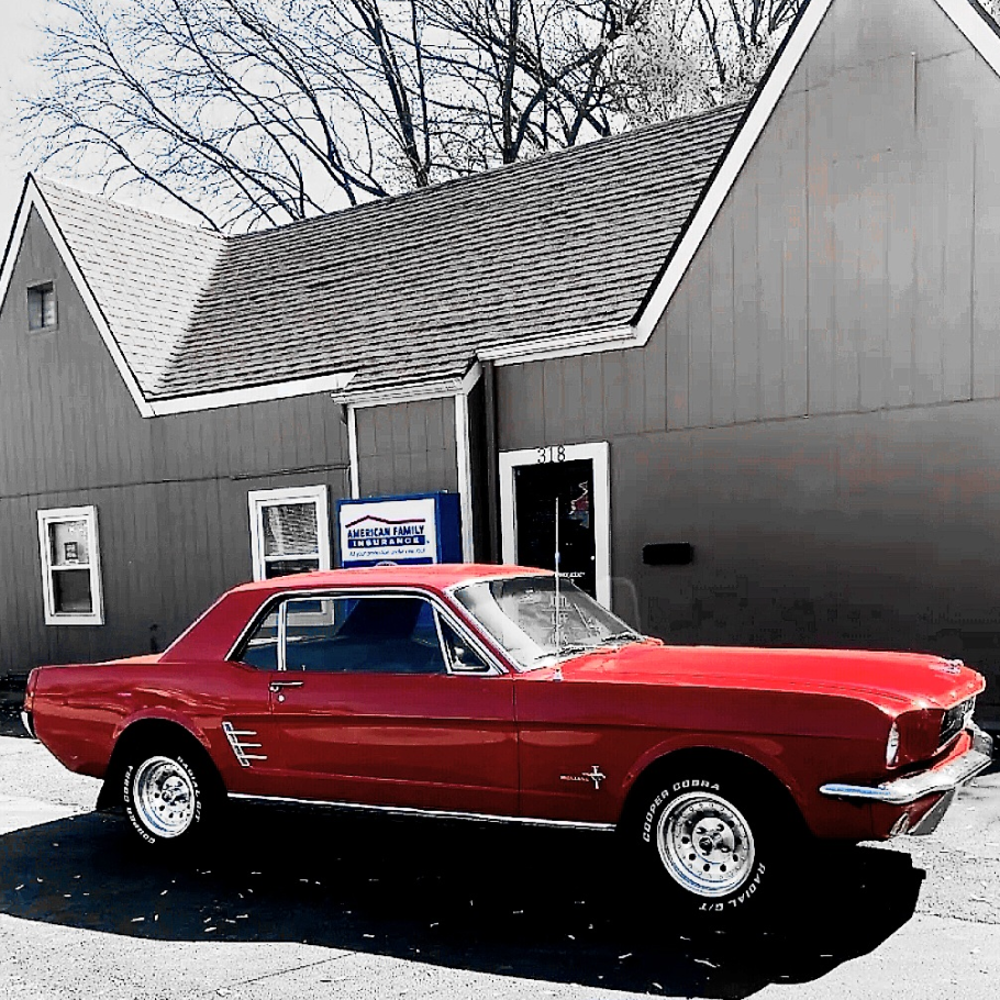 will mewhinney profilephoto