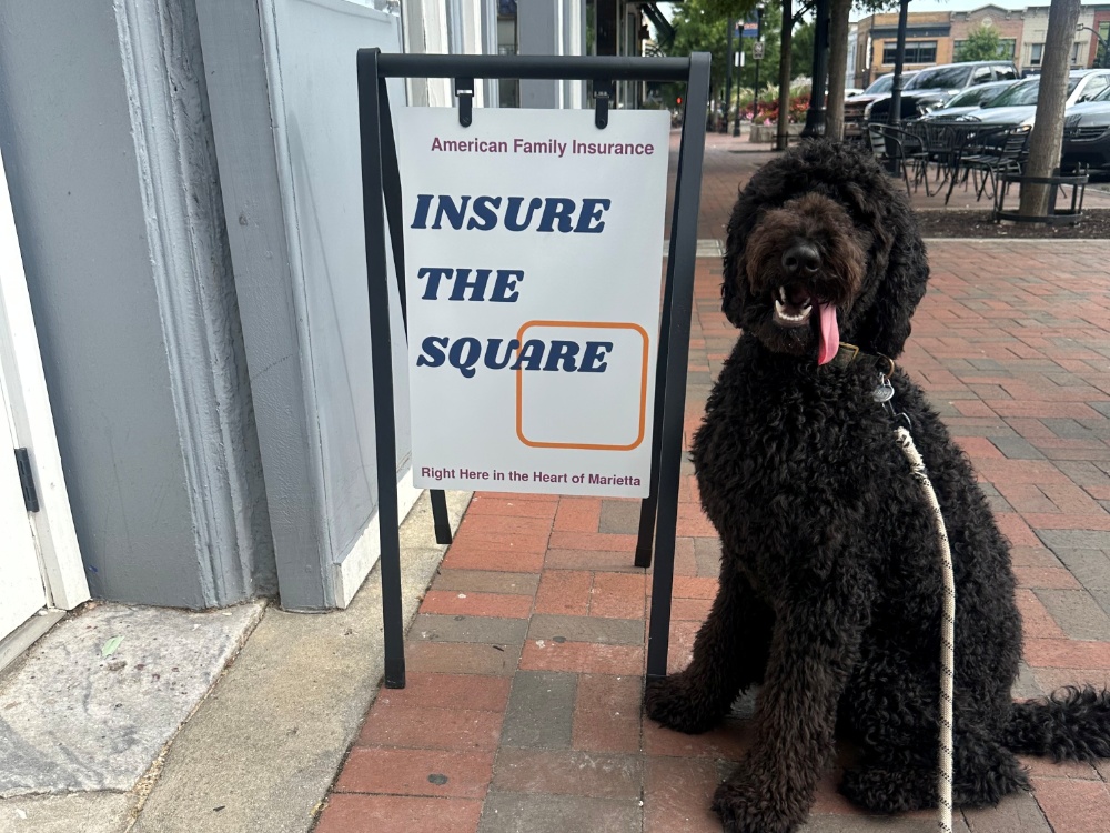 herve dor carouselimages beauits