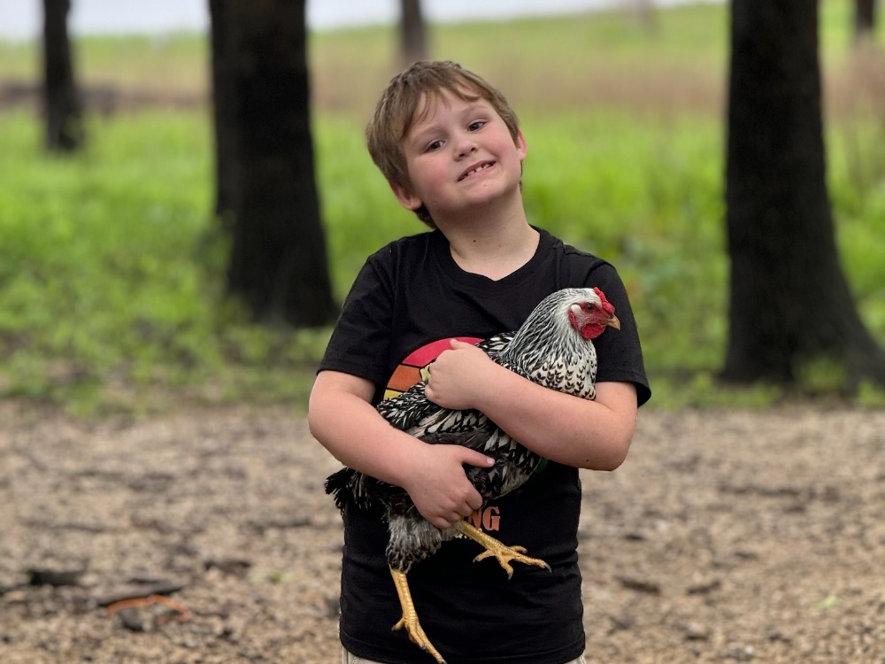 angella zerrusen carouselimages phonixwes