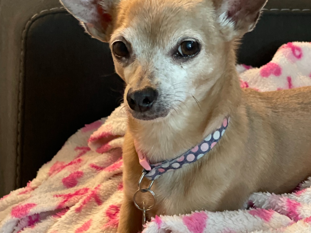 jeff gray carouselimages 67374986968fc7339a7b5c0496caf94016c359fb6e2