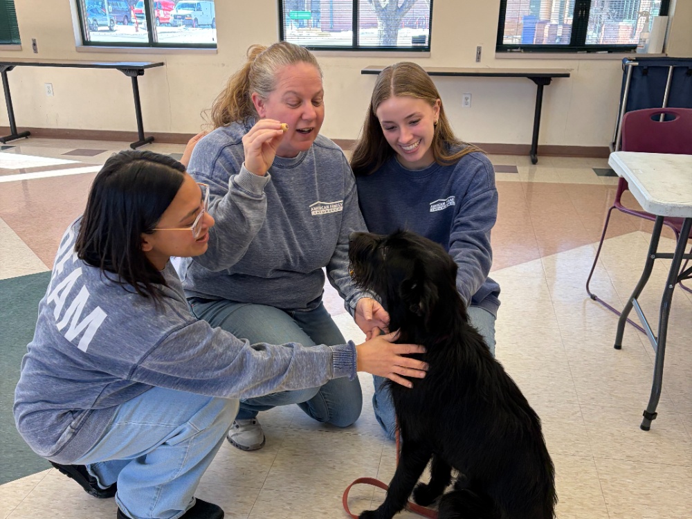 joshua erickson carouselimages rachelheatherjesswjadedog2