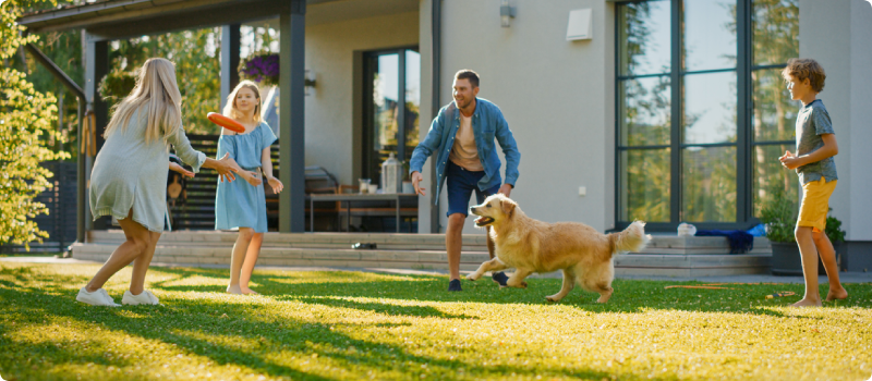 a family of four playing in yard with their dog