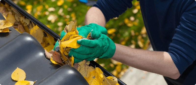Person cleaning leaves from their gutters.