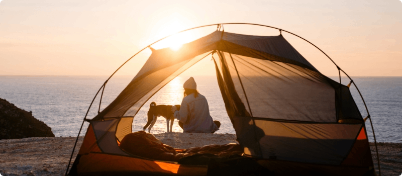 Tent on a beach with a person and dog in the background. 