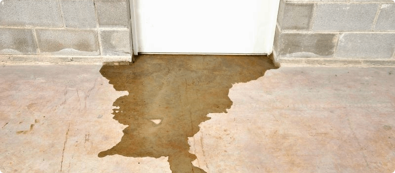 Water pooling around the doorway from a flooding basement. 