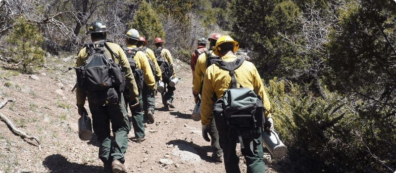 Firefighters walking on a remote road in the mountains. 