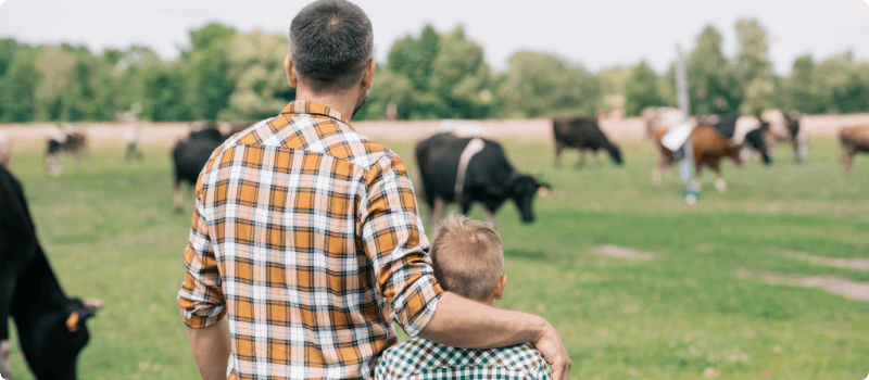 A parent and child looking at cows grazing in a field.