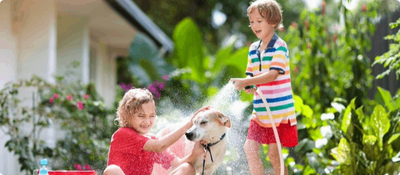 Two kids playing in the yard on a sunny day with their dog and a water hose. 