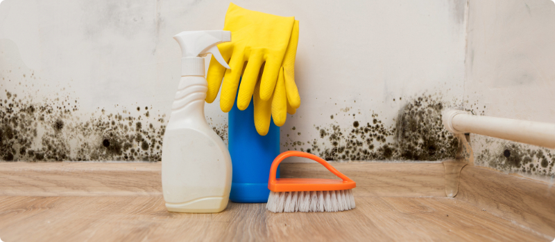 Cleaning supplies on the ground, next to a moldy wall.