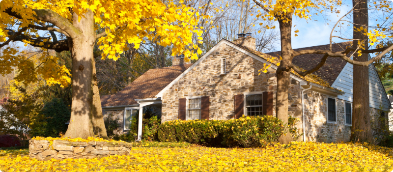 A house covered in leaves in the autumn.