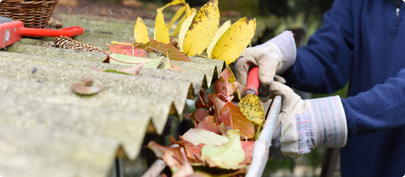 A person cleaning leaves from a gutter.