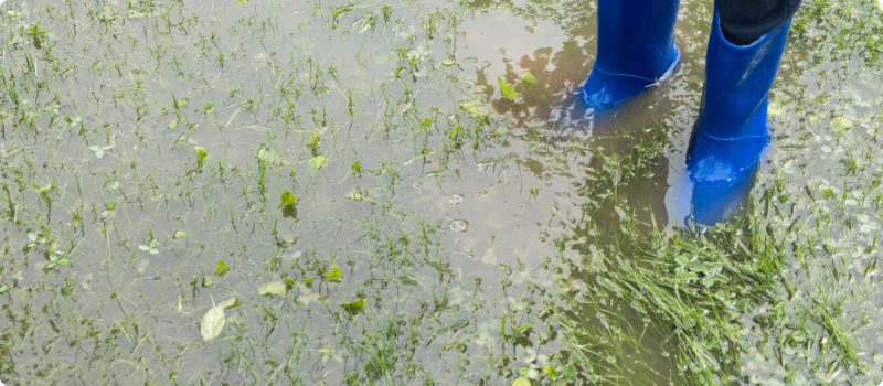 A person standing in a flooded lawn.