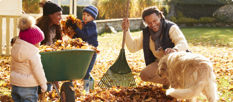 A happy family raking and cleaning fall leaves from their lawn.