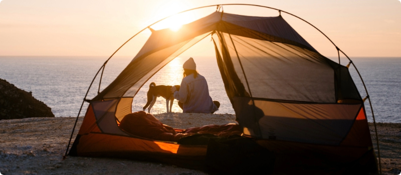 A person sitting on the beach with her dog and a tent in the foreground. 