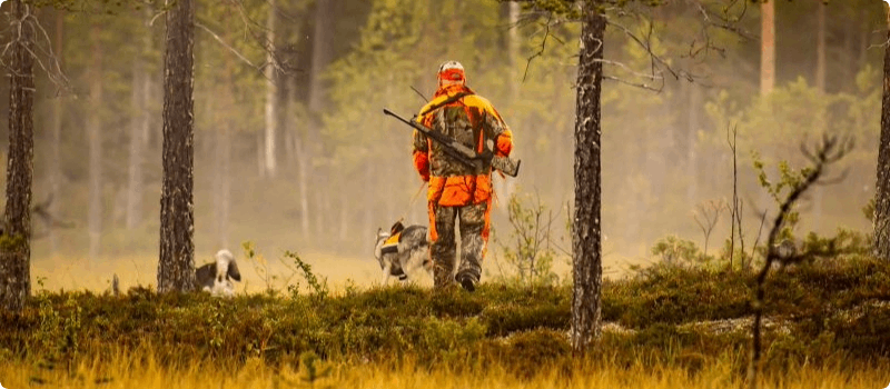 Hunter in the woods with their dog. 